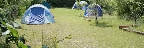 Stan Camping Full Monte