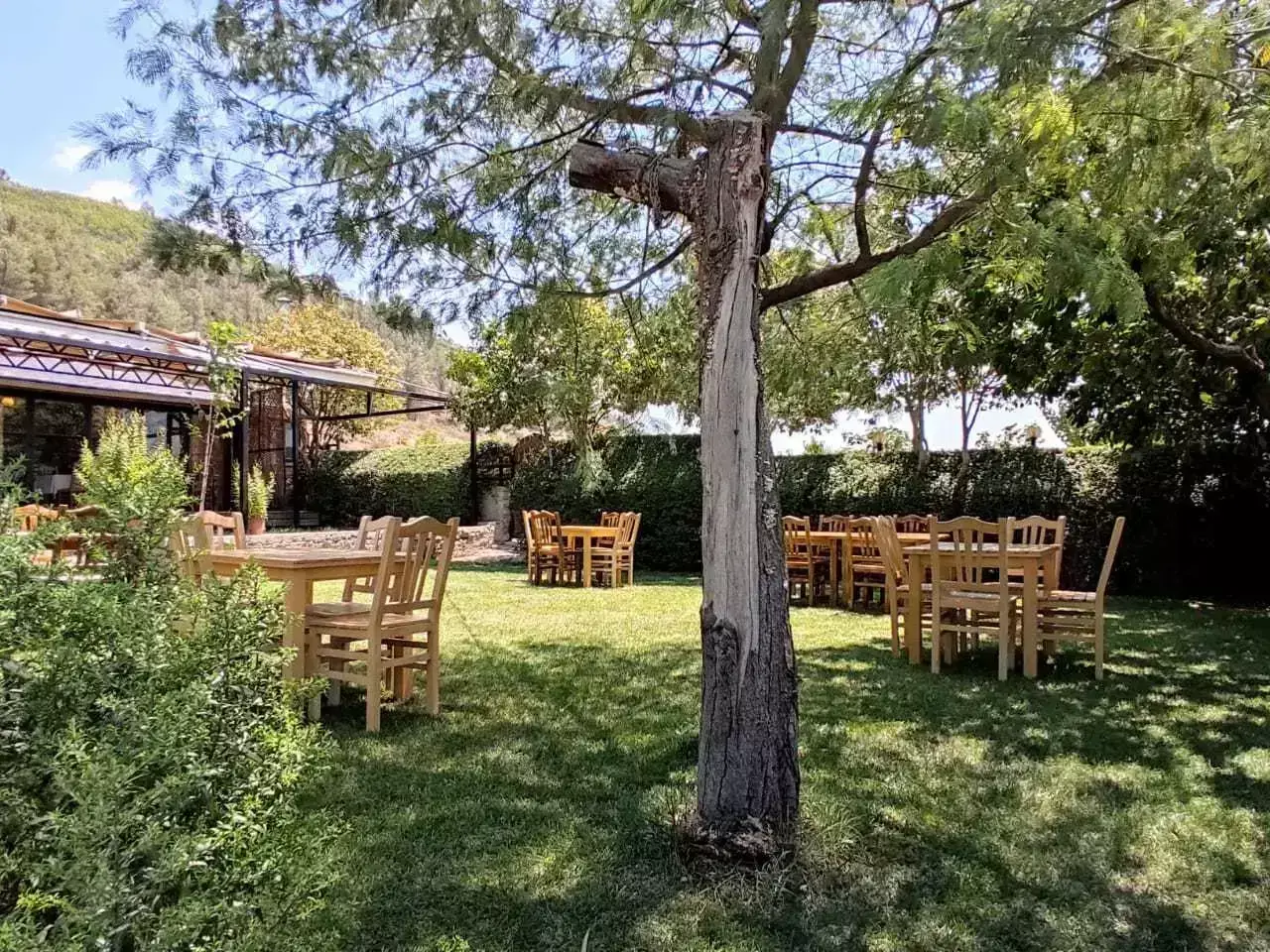 Cafe-Bar-Restaurant Camping Gjirokaster