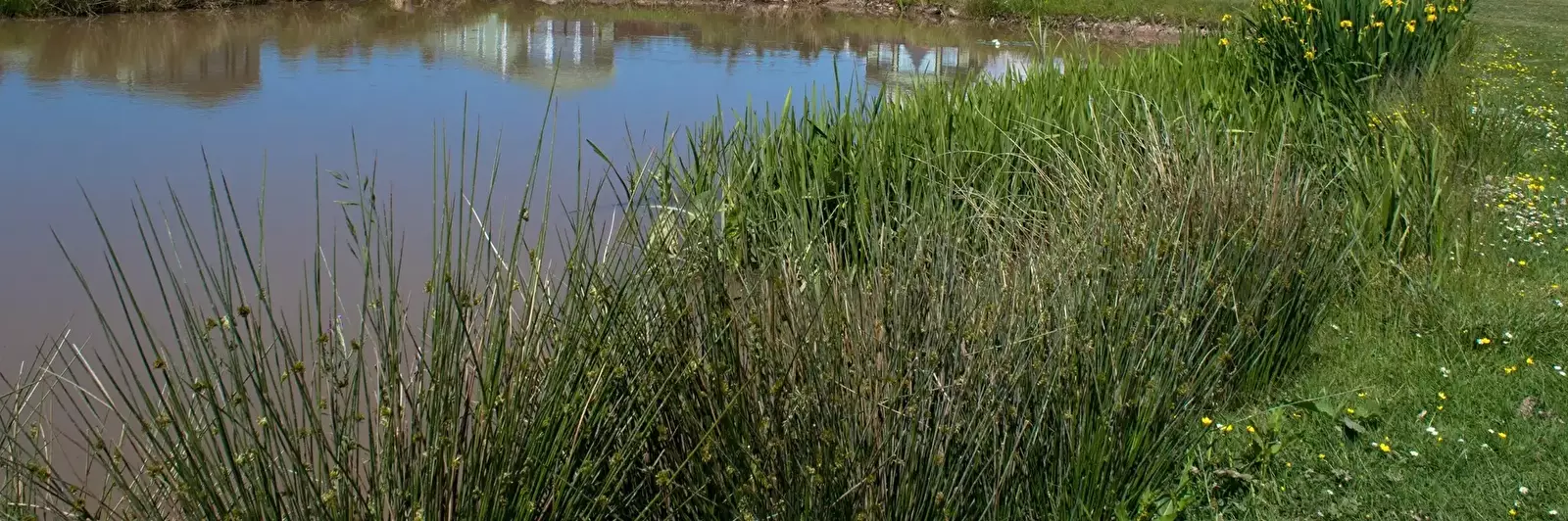 Lokalita Camping Glenluce Caravan Park