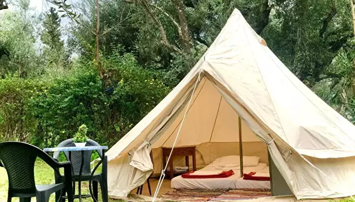 Camping Golden Sunset.
