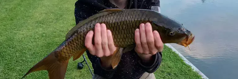 Fishing Camping Groeneveld