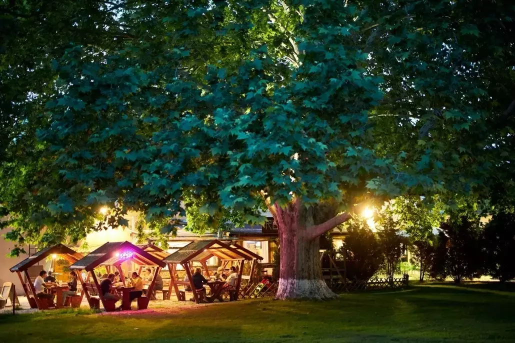 Lokalita Camping Haller