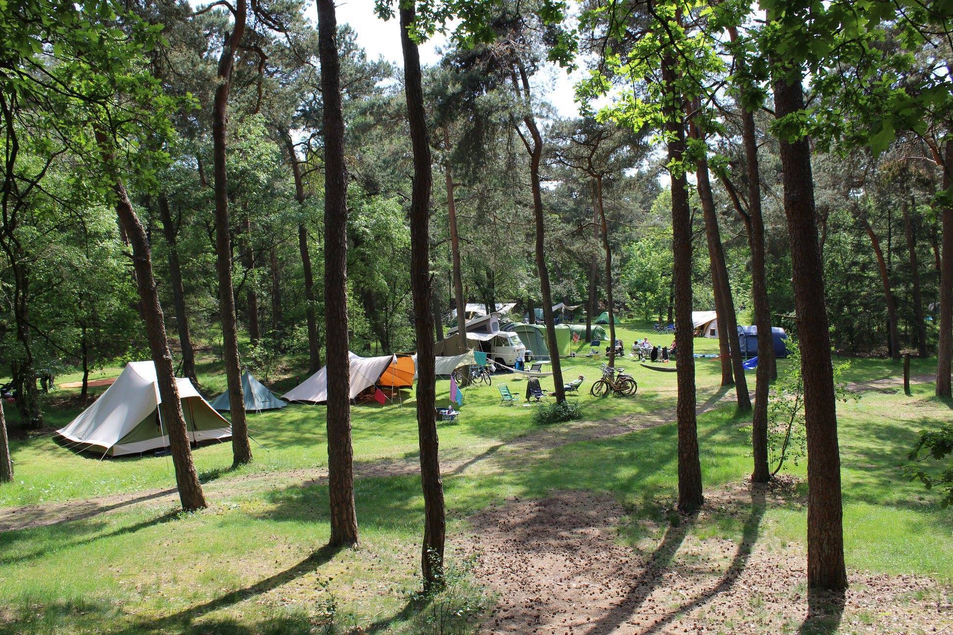 Camping Harskamperdennen In Kootwijk Nederland Jetcamp Com