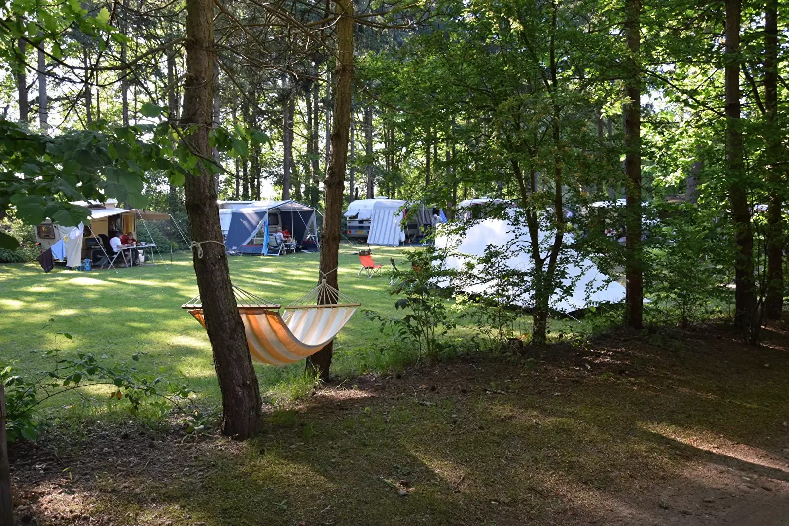 Tent Camping Het Horstmannsbos