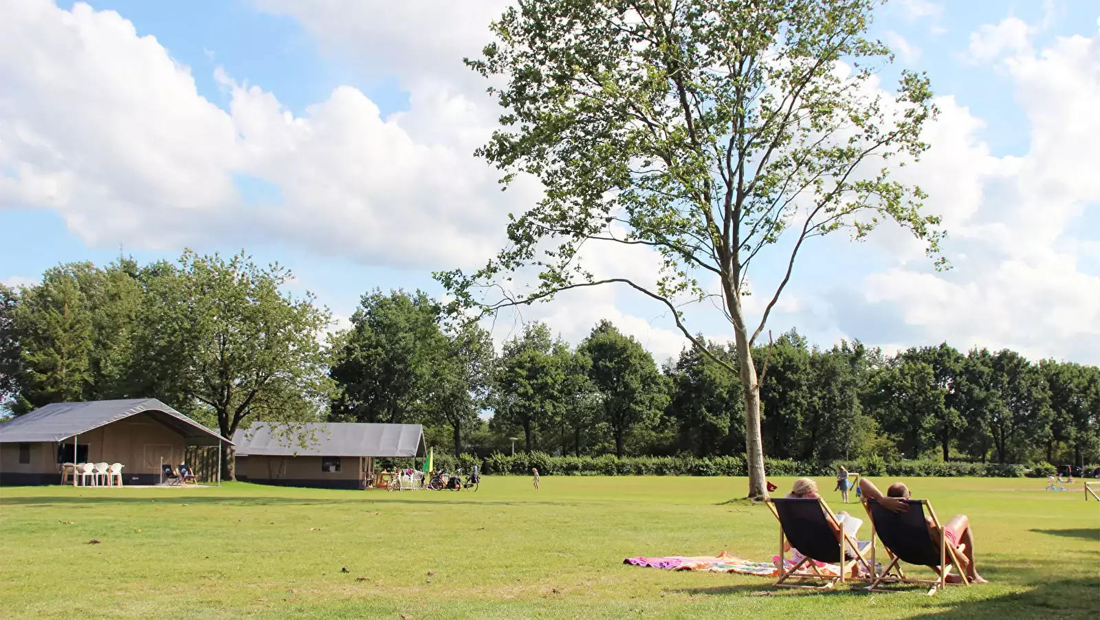 Safari tent Camping Het Landschap - Molecaten