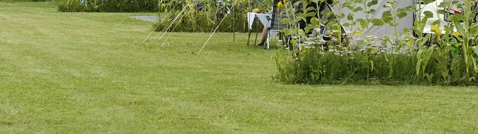 Pitch Camping Hoeve Carpe Diem
