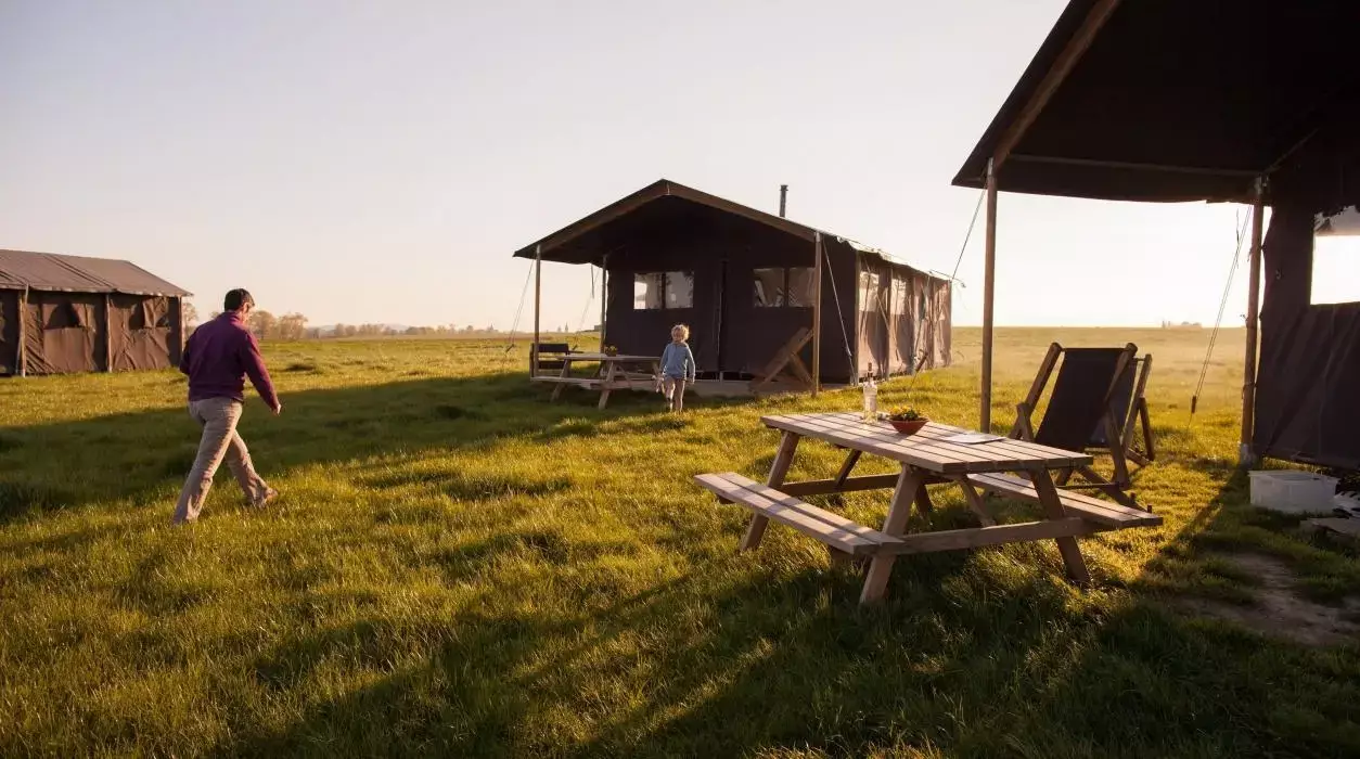 Safari tent Camping Hoeve den Overdraght - Boerenbed