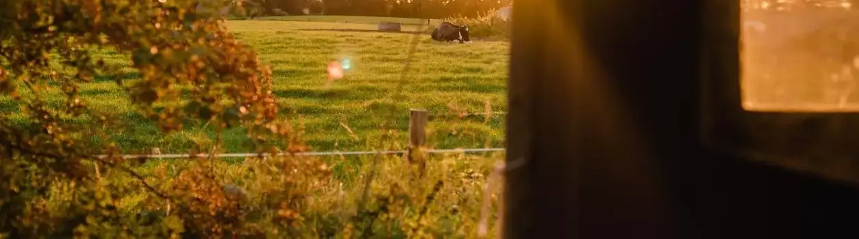 Location Camping Hoeve Lochem a.d B - Boerenbed