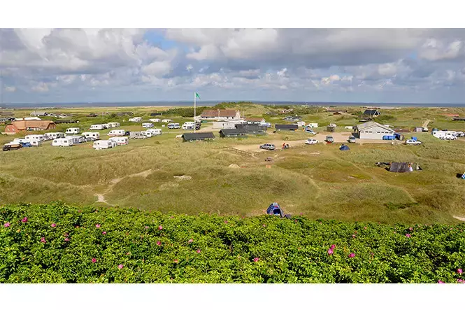 Obecné Camping Holmsland - Dancamps