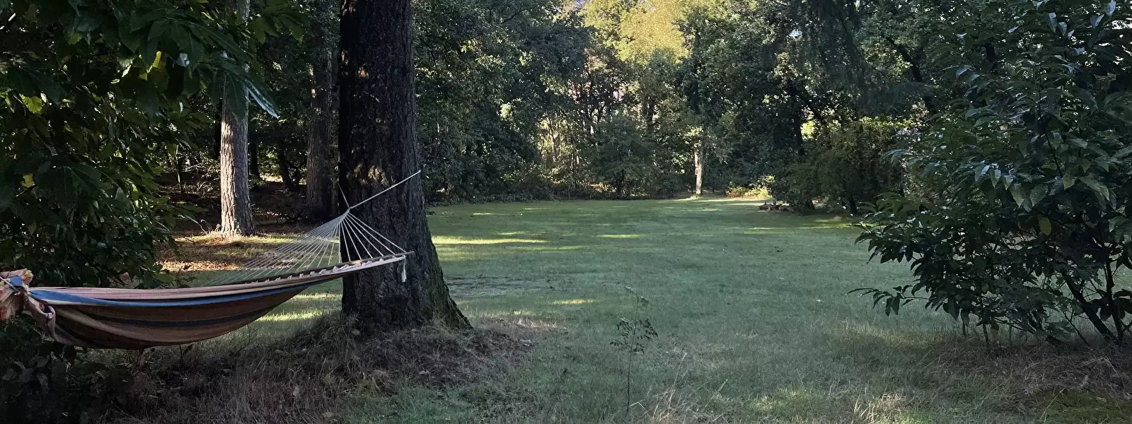 Algemeen Camping Huttopia De Veluwe