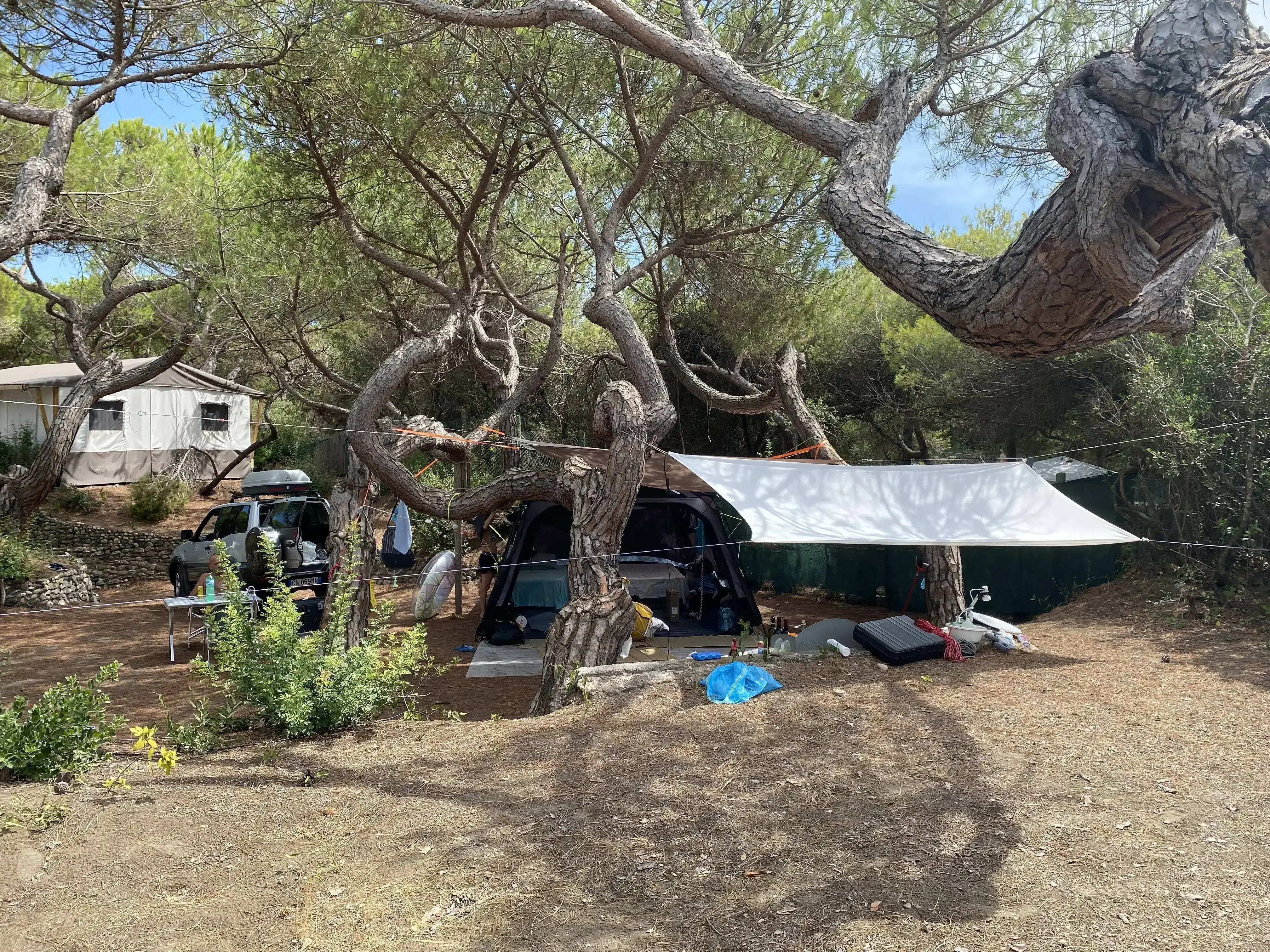 Camping Il Capannino Glamping Village in Marina di Bibbona, Italy (2026) |  All campings on JetCamp.com