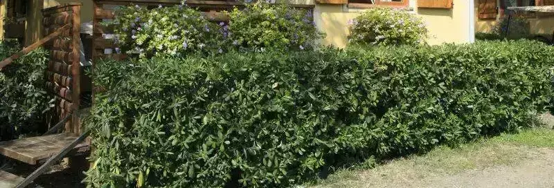 Cottage-Holiday Home Camping Il Frantoio