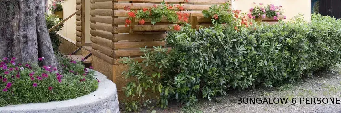 Cottage-Holiday Home Camping Il Frantoio