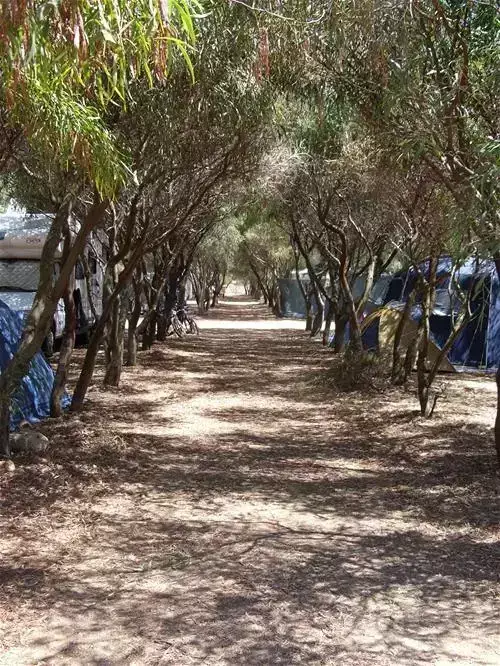 General Camping Is Aruttas