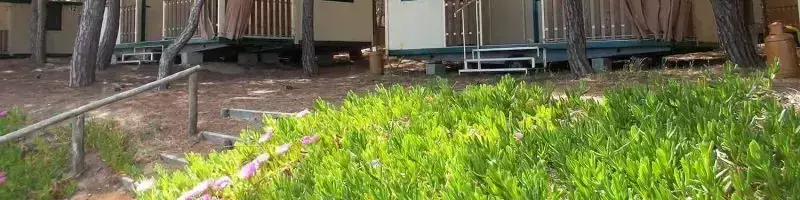 Vendégház - Nyaraló Camping Iscrixedda