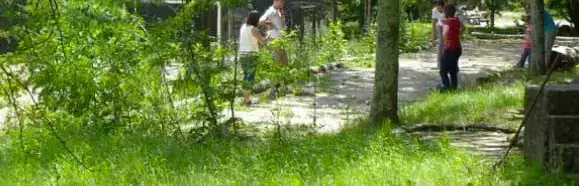 Obecné Camping Isis En Cévennes