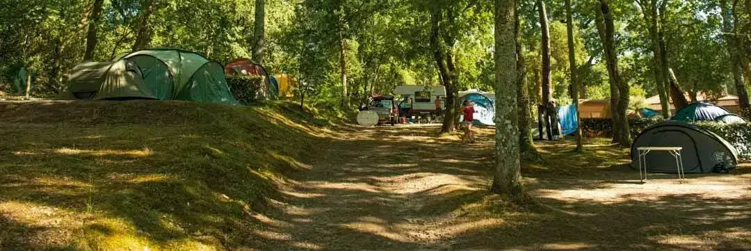Zwembad Camping Jobel