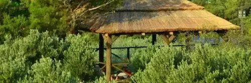 General Camping Kanun