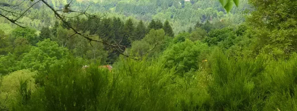 Obecné Camping La Cube