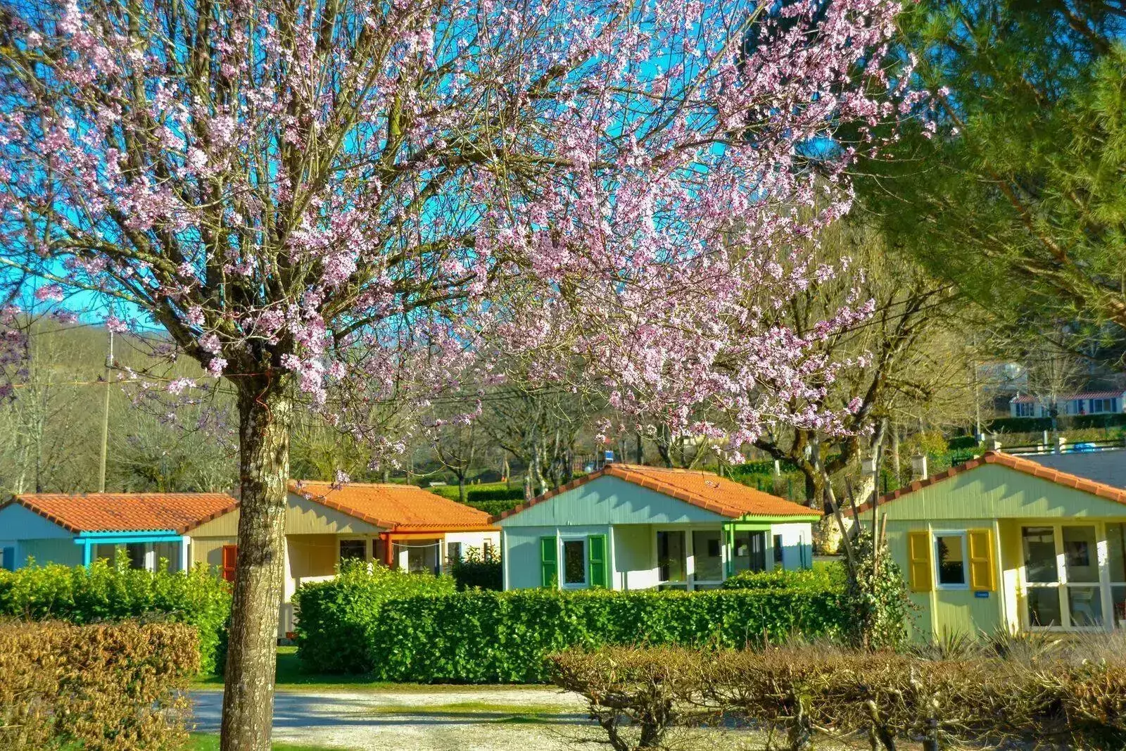 Baita Camping La Draille - Beter Uit