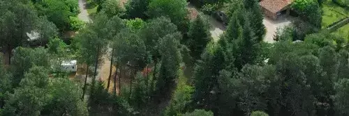 Chalet-Bungalow Camping La Forêt
