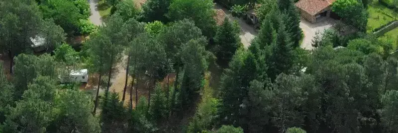 Chalet-Bungalow Camping La Forêt