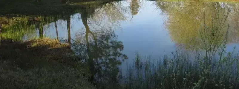 Algemeen Camping La Motte