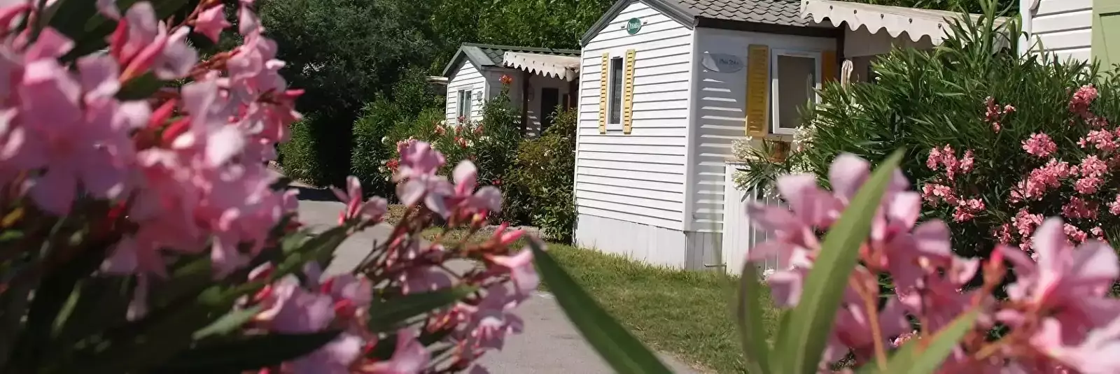 Casa Mobile Camping La Pinède