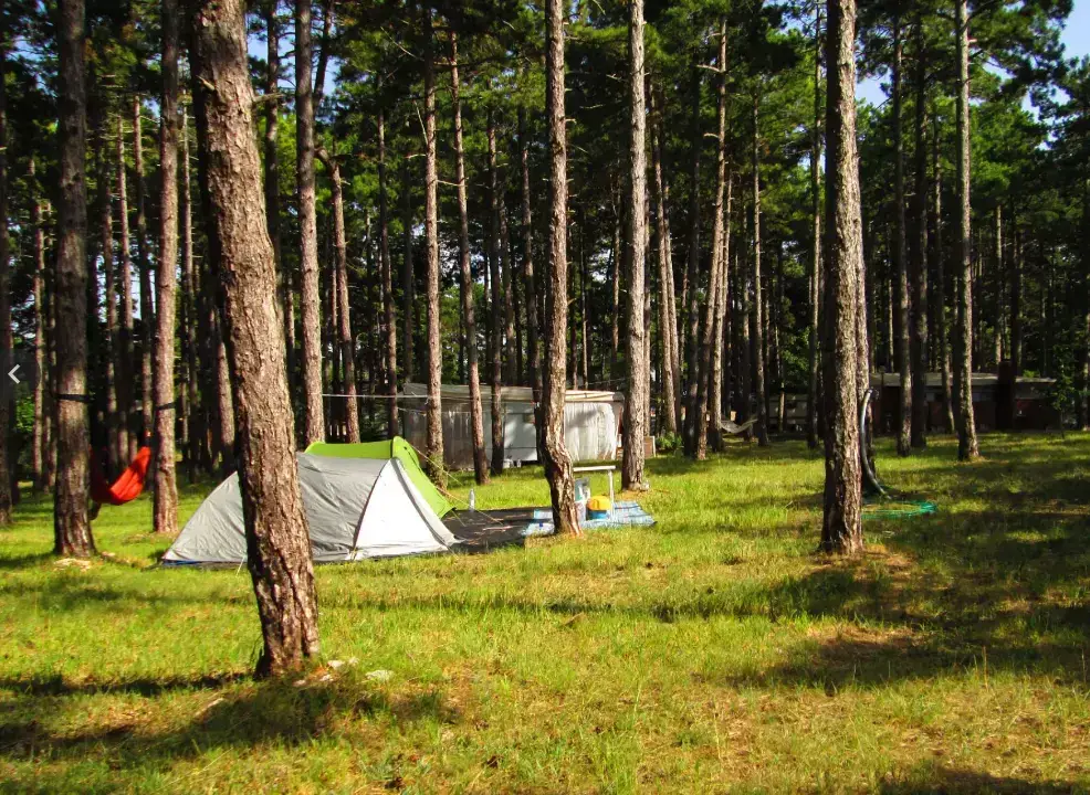 black diamond tent 4-season Mega Bug 4 Person Size:10Y grommets-eyelets It can handle wet Wouldn't it be cool