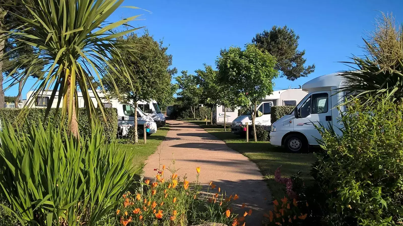 Mobile home - Stacaravan Camping La Plage