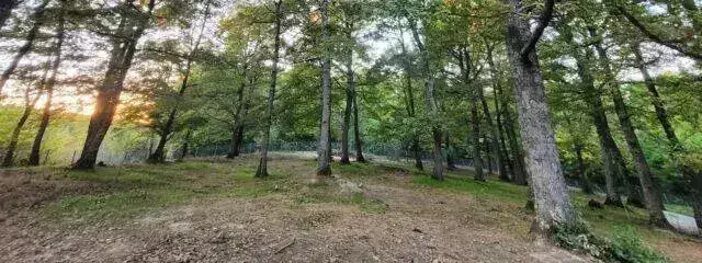 Generel Camping La Régate