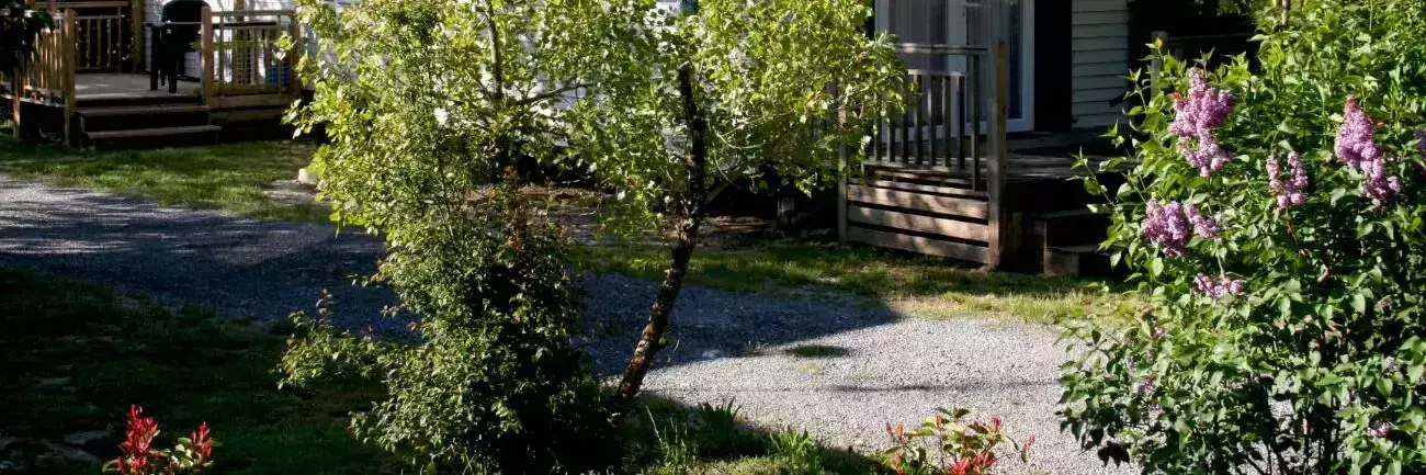 Chalet-Bungalow-Huisje Camping La Ribiere