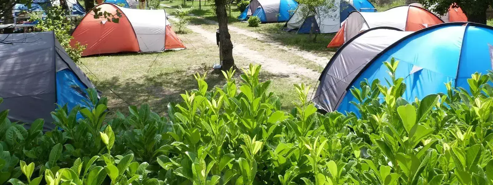Tenda Camping La Ribiere