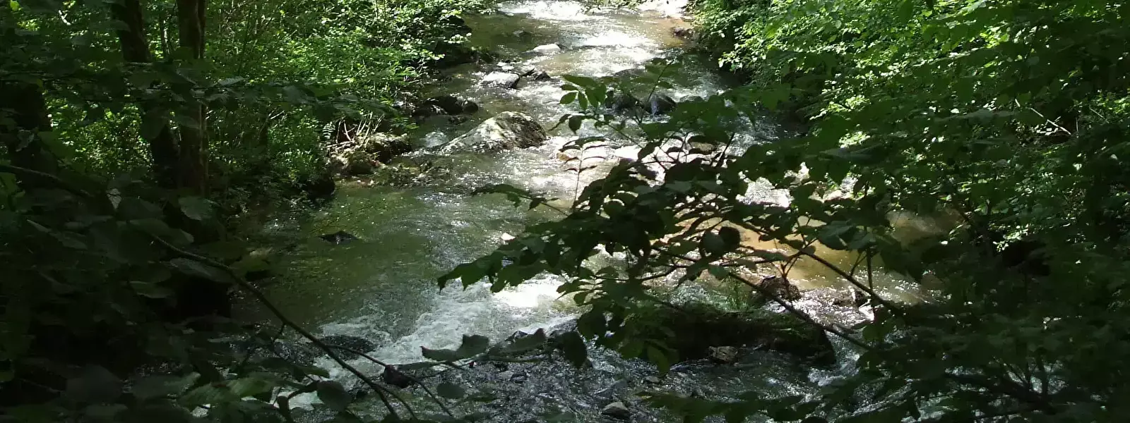Locatie Camping La Rivière