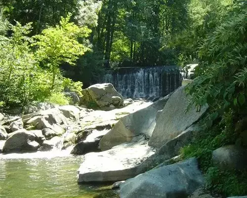 Camping La Salendrinque.