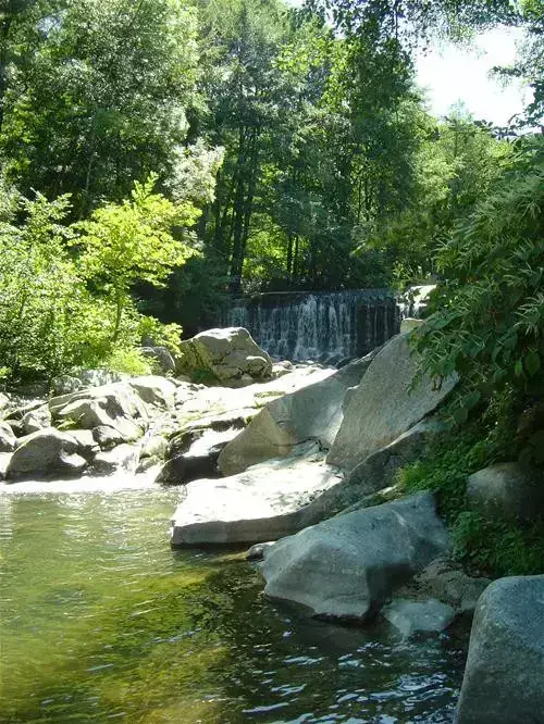 Generale Camping La Salendrinque