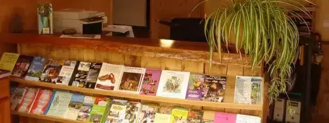Interieur accommodatie Camping La Vallee Verte - Flower