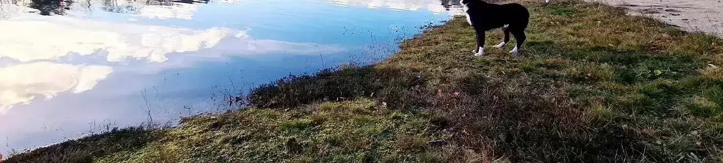 Location Camping Lac De Feyt