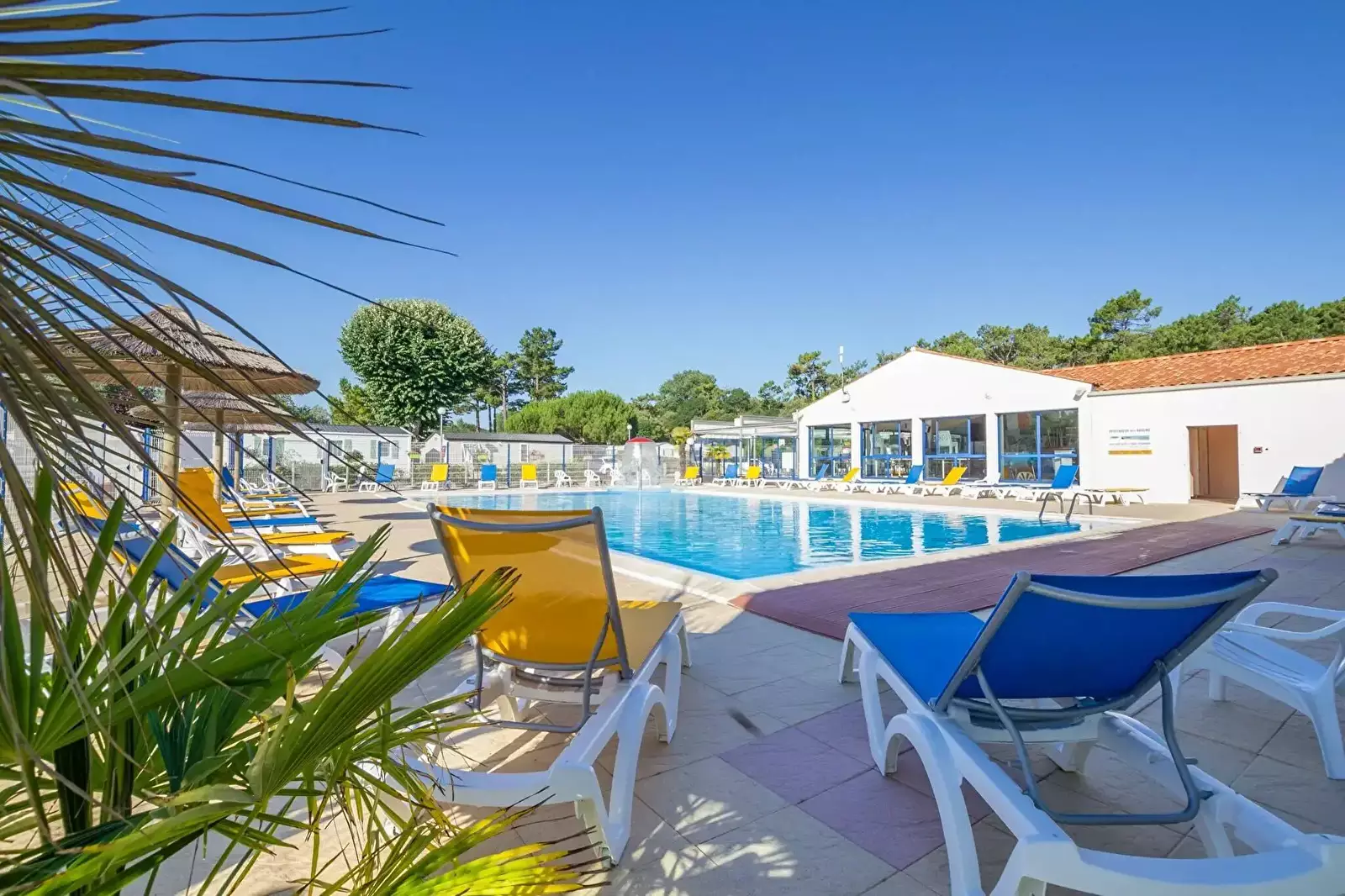 Piscina Camping L'albizia