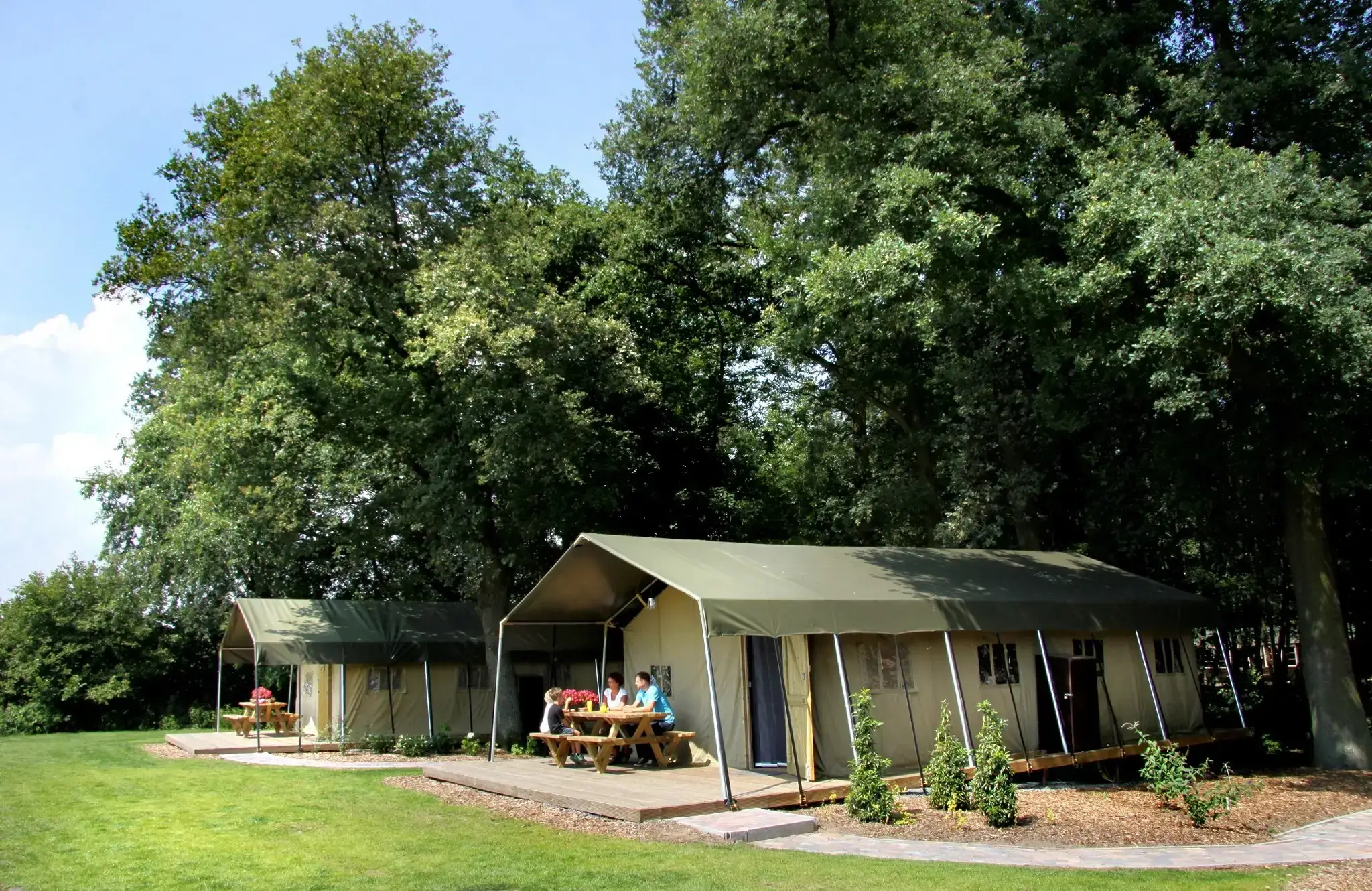 Camping Landrijk de Reesprong in Haaksbergen, Niederlande (2026) | Buchen  Sie Ihren Campingplatz auf JetCamp.com