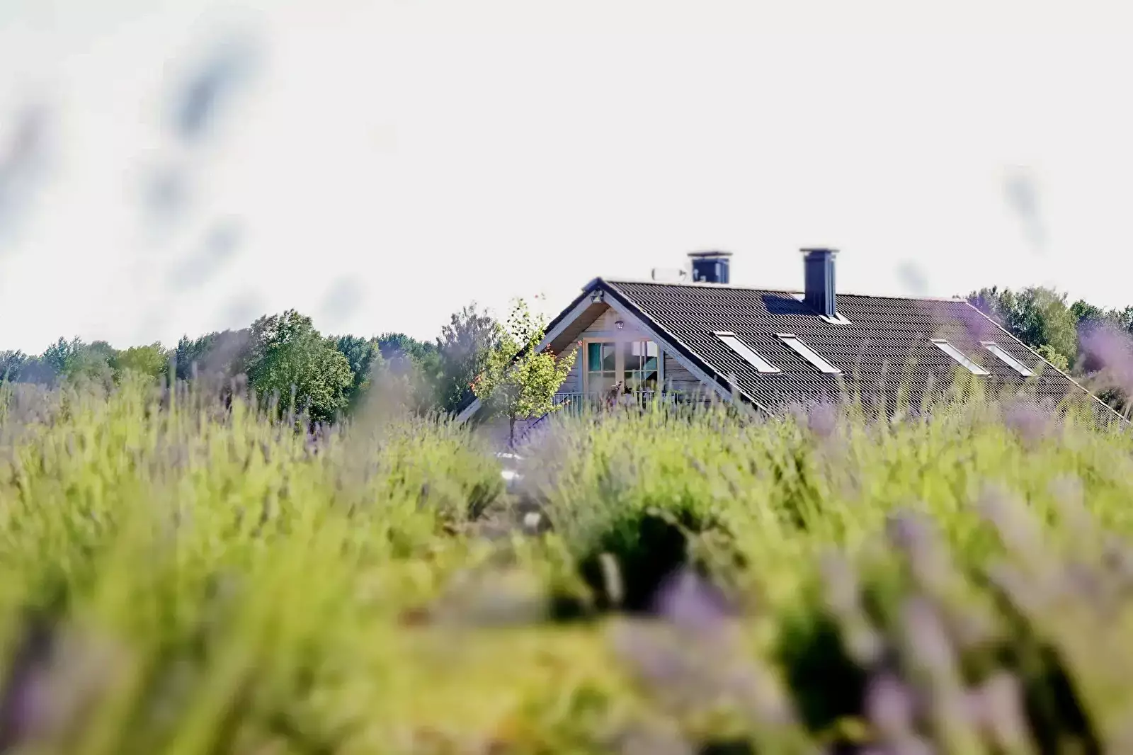 Cottage-Holiday Home Camping Lavender Village Lithuania