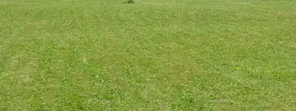 Casa Mobile Camping Le Bois Du Coderc