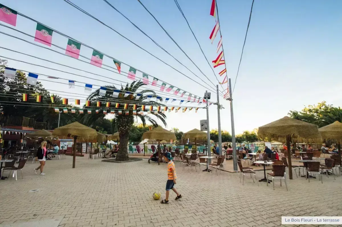 Posizione Camping Le Bois Fleuri