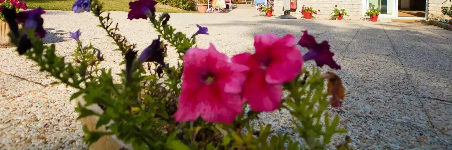 Posizione Camping Le Bois Fleuri