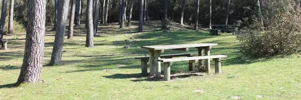 Locatie Camping Le Bosquet