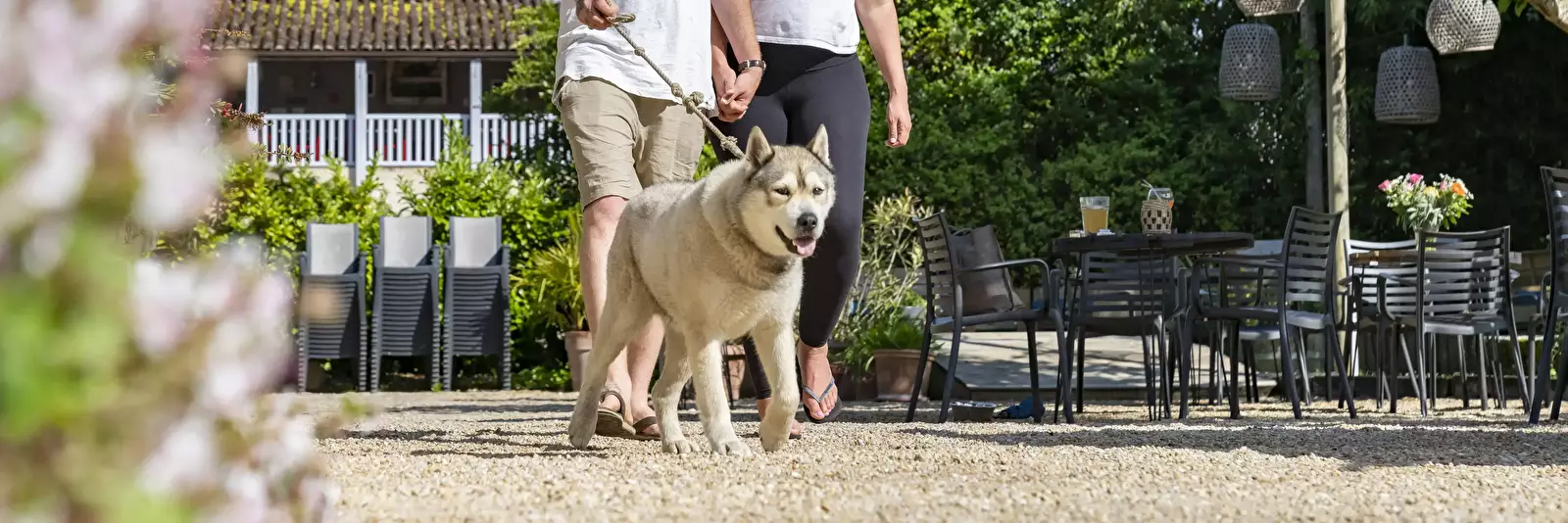 Amico del cane Camping Le Capeyrou
