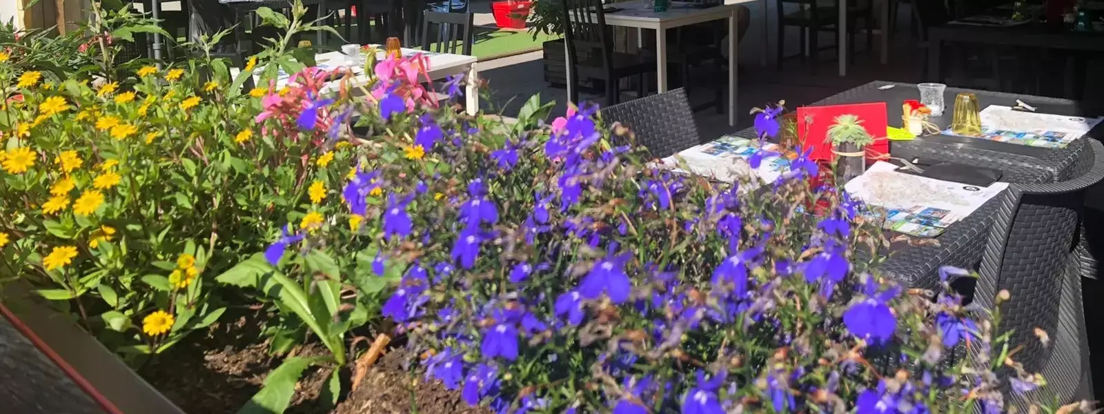 Cafe-Bar-Restaurant Camping Le Chanet