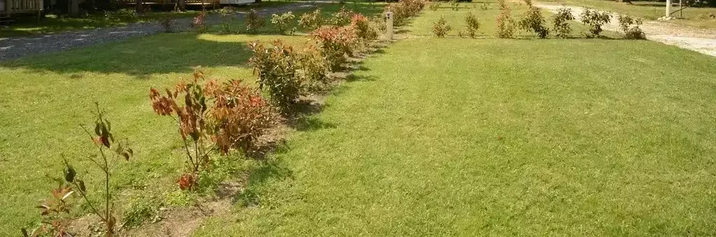 Piazzola Camping Le Chant Des Oiseaux