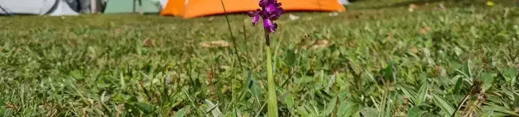 Tenda Camping Le Chêne Du Lac