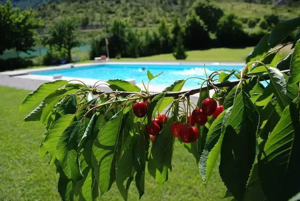 General Camping Le Moulin De Pradelle